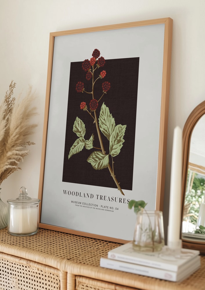 Botanisches Poster mit Wald-Brombeeren