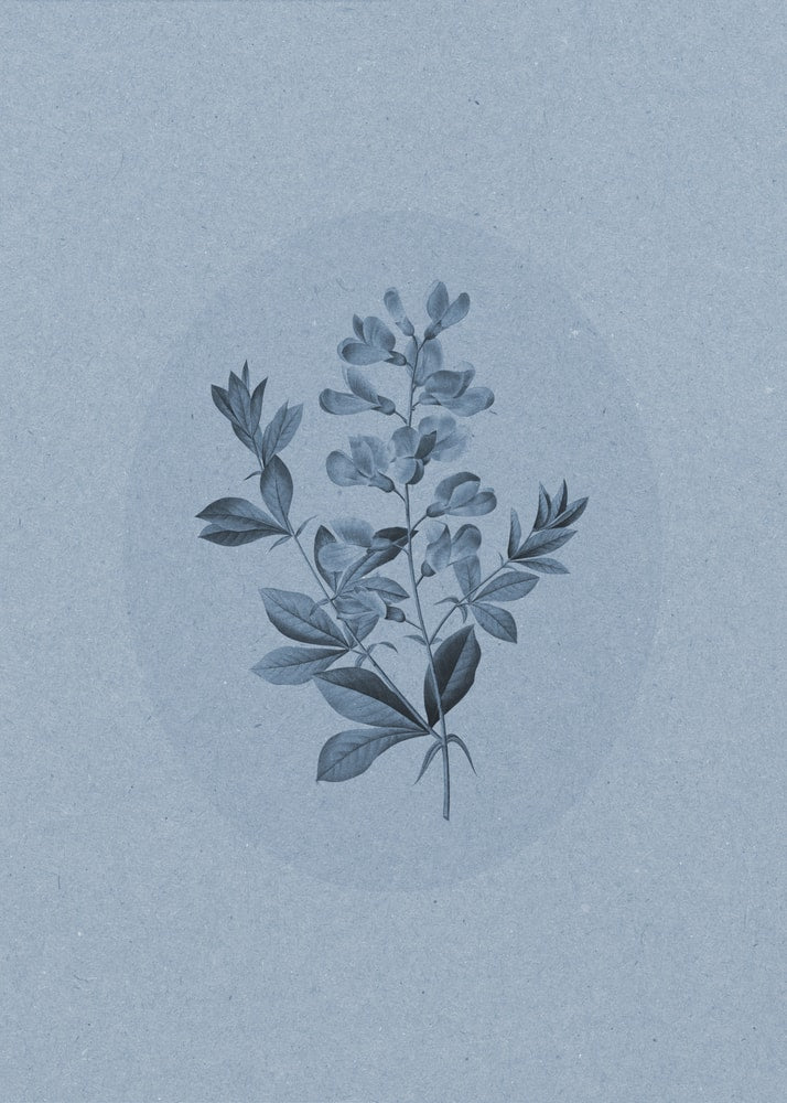 Ruhiges botanisches Poster in Blau