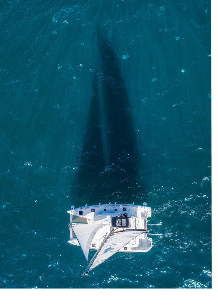 Aerial catamaran poster with a white catamaran sailboat and its shadow on turquoise water