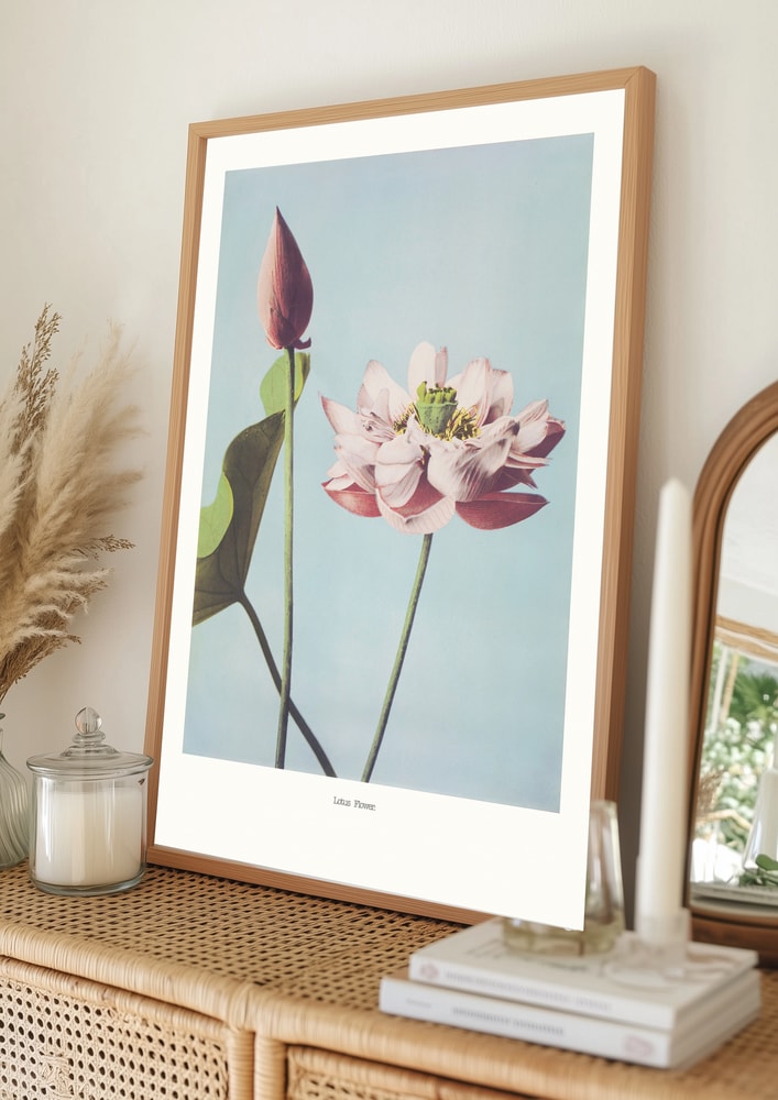 Lotusblumen Poster