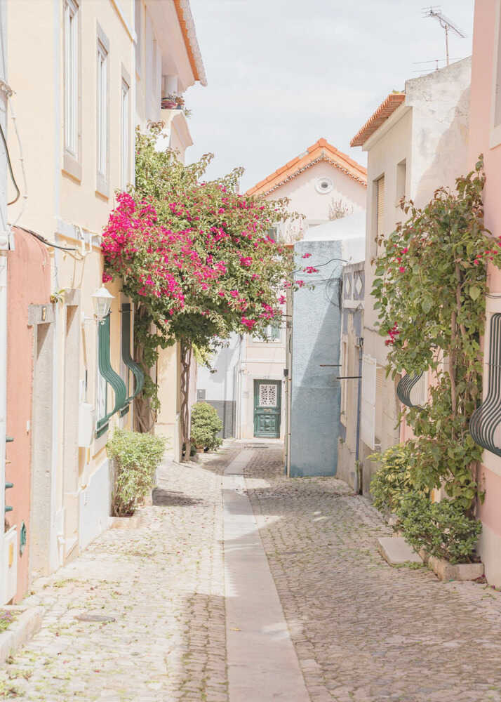 Bougainvillea alley poster with a narrow cobblestone alley and bright pink bougainvillea