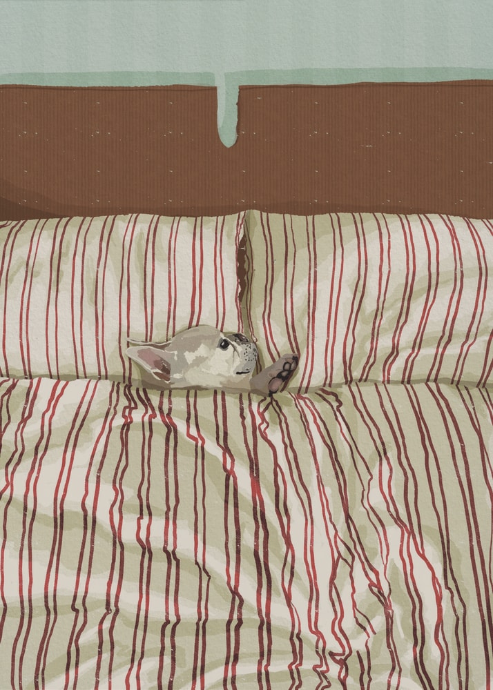 Poster mit gemütlichem Hund im Bett
