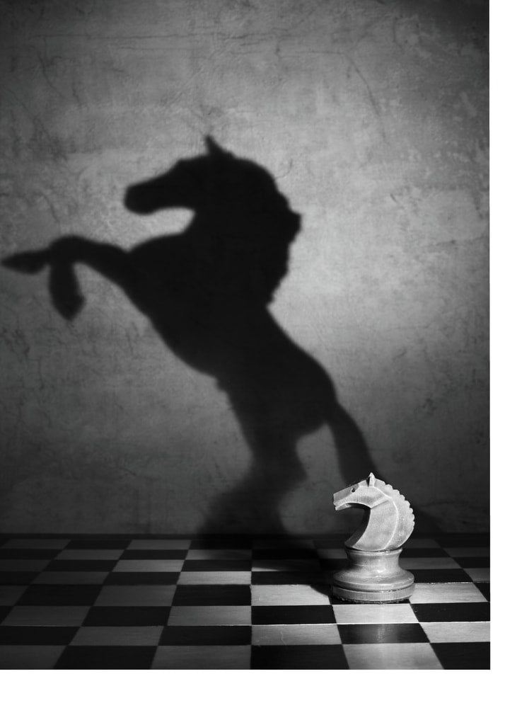 Chess knight poster with a black and white view of a chess knight casting a horse shadow