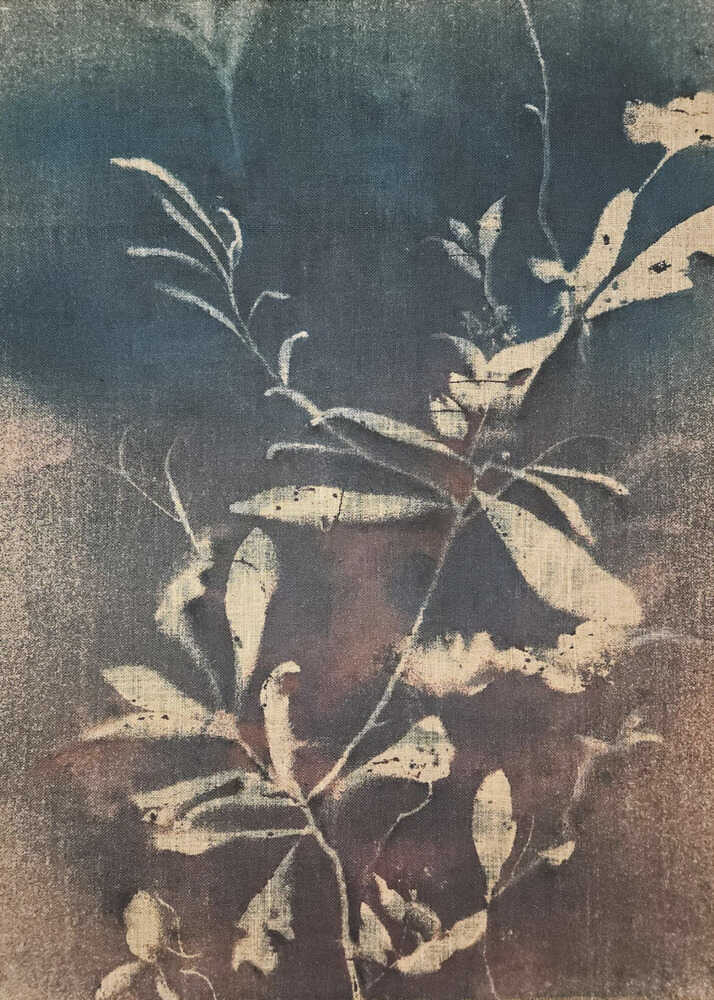 Cyanotype leaves branches poster with a cyanotype botanical image of white leaves and branches on a dark blue background
