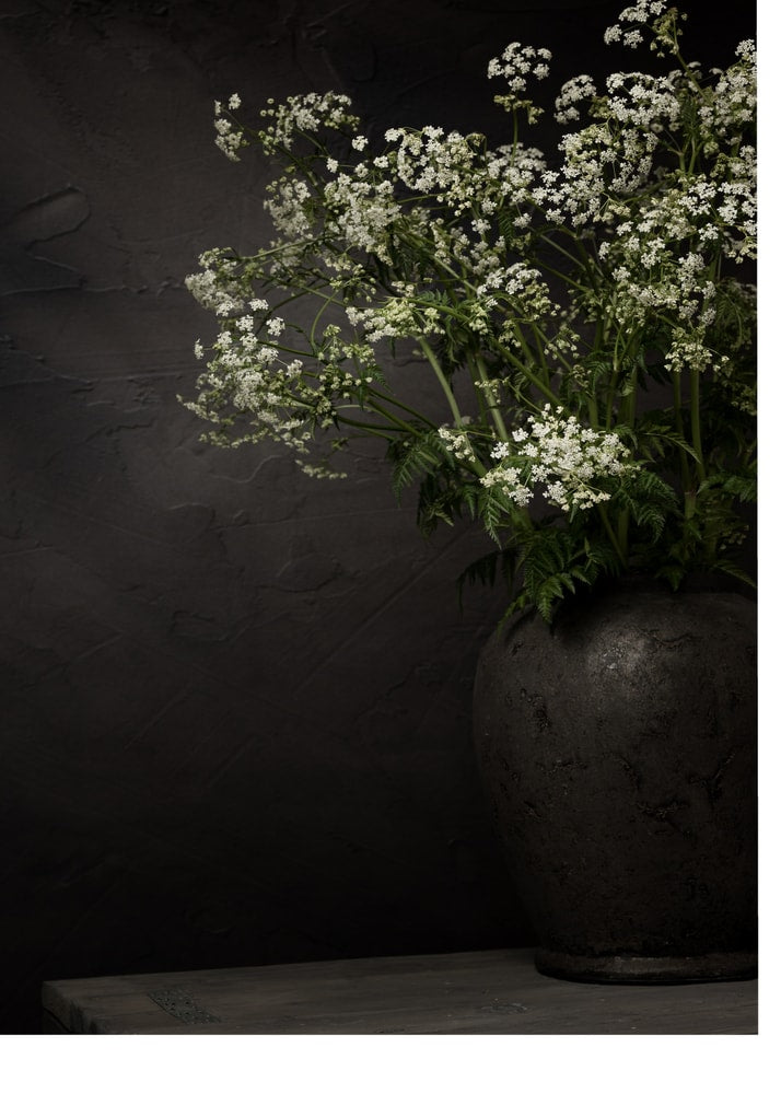 Dark vase white flowers poster with a dark ceramic vase of white wildflowers