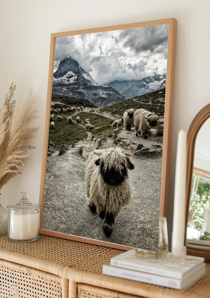 Valais Blacknose Matterhorn Mountain Poster