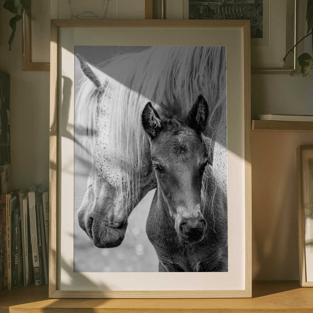Mare and Foal Poster