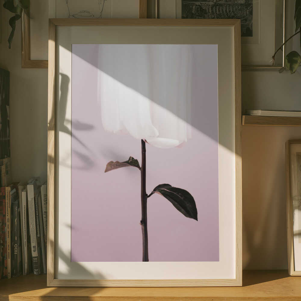 Poster „Ätherische weiße Blüte“
