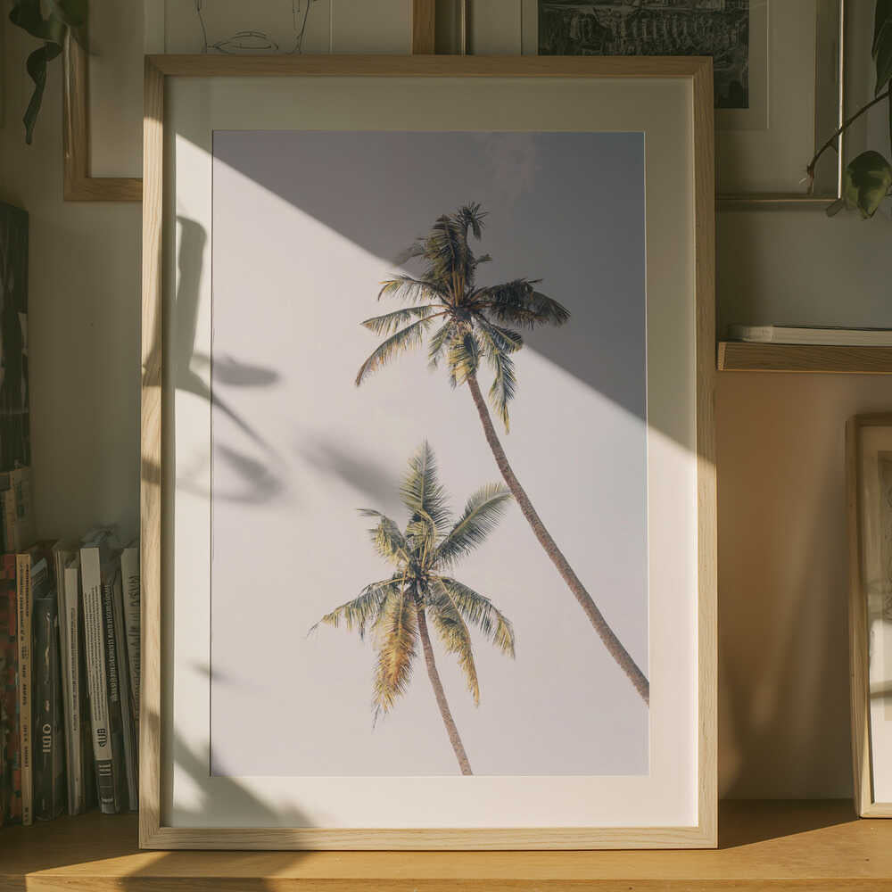 Tropical Palms Poster