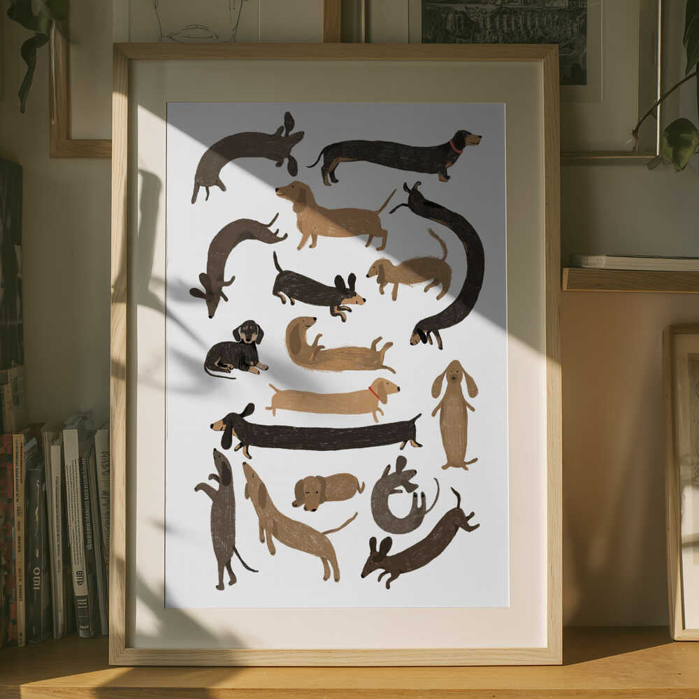Dachshund Print Poster