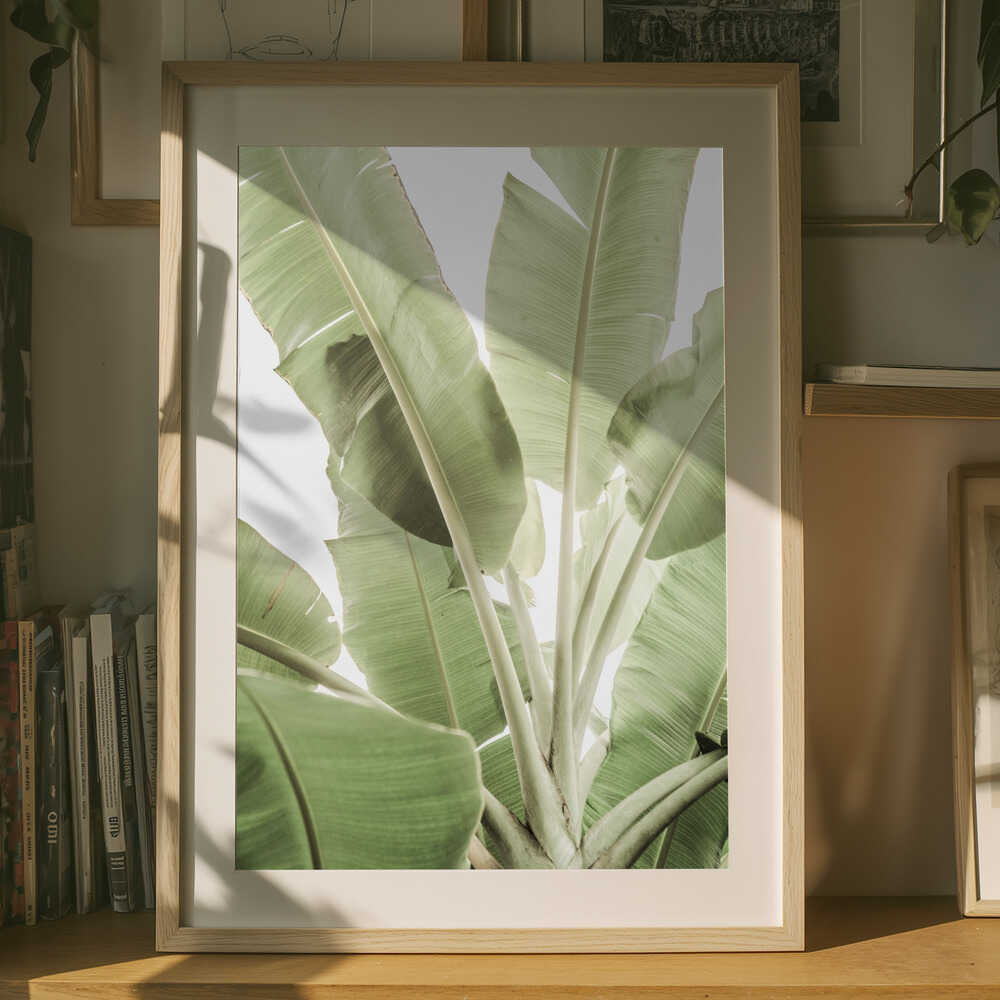 Verdant Leafscape Poster