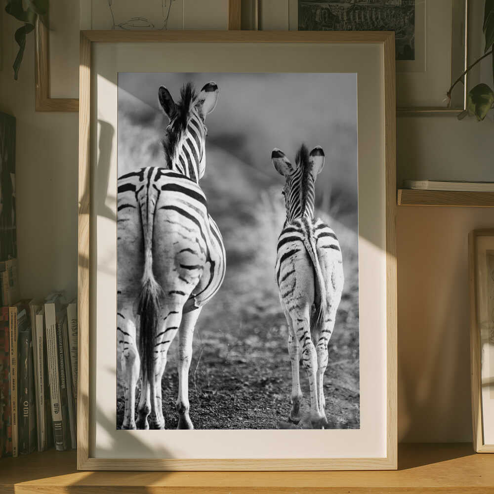 Striped Horse Back Side Poster