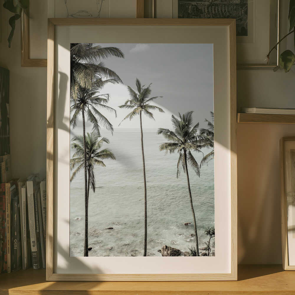 Tropical Dreams Poster