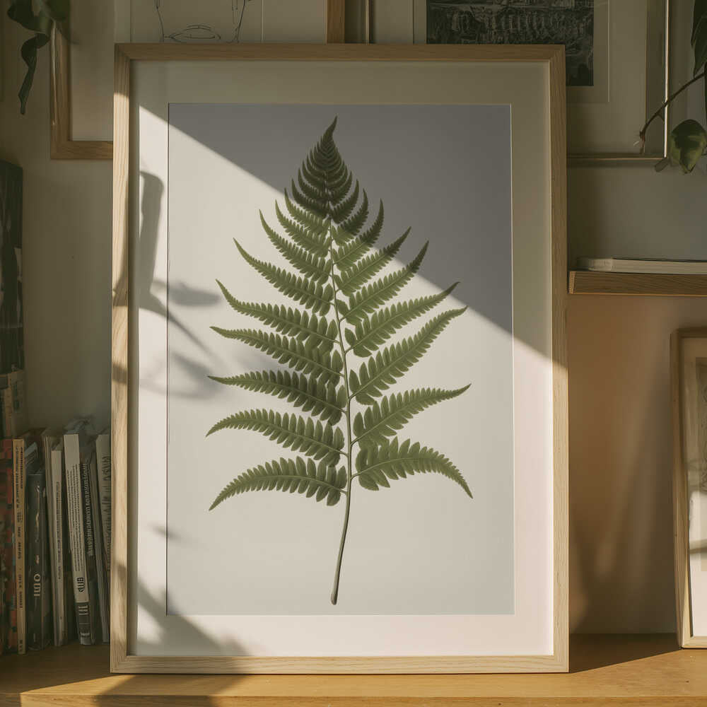 Elegant Fern Botanical Poster
