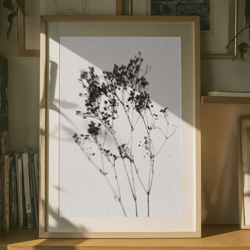 Poster „Zarte Pflanzensilhouette“
