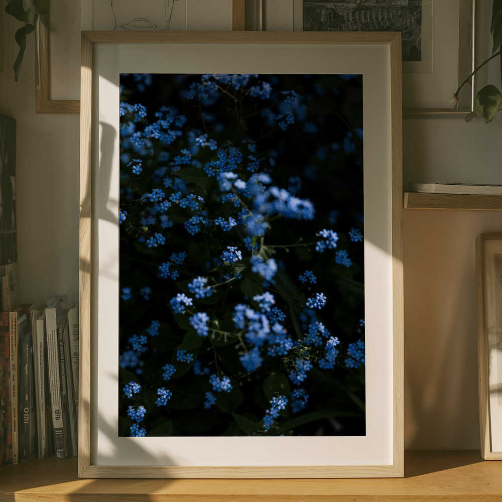 Poster mit ruhigen blauen Blumen
