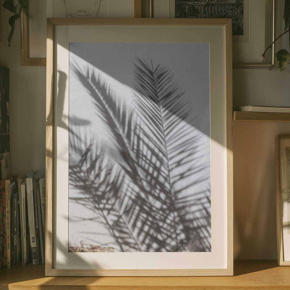 Sunlit Palm Shadows Poster