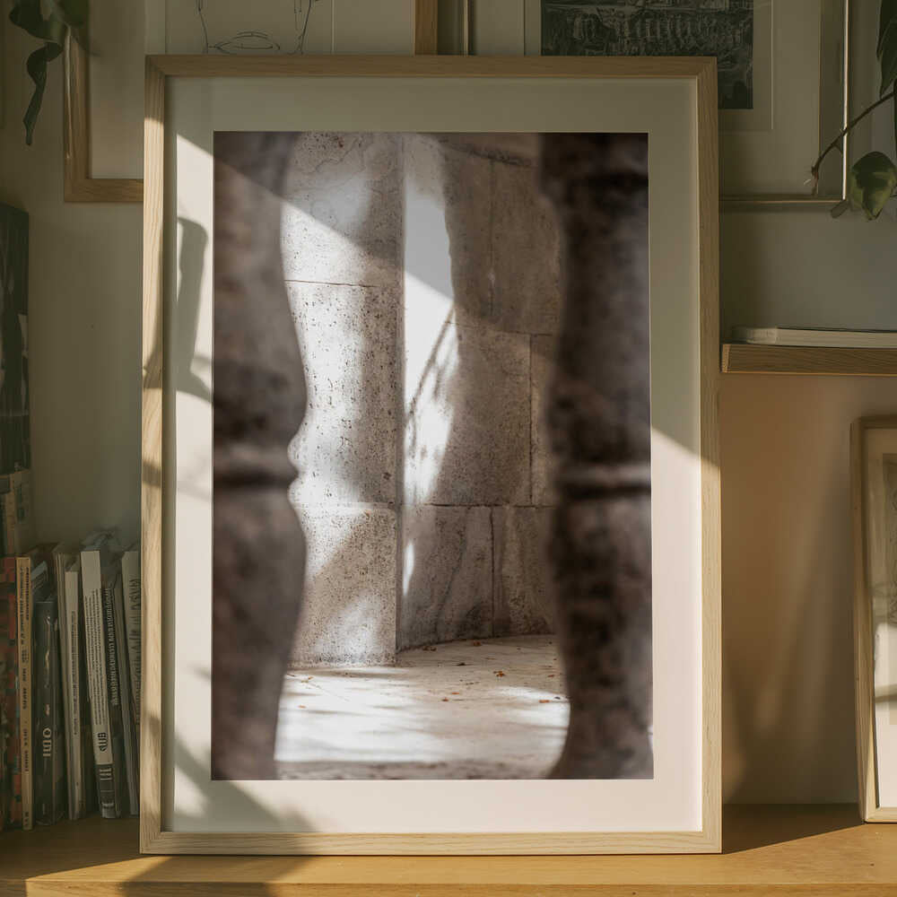 Hidden Stone Face Poster