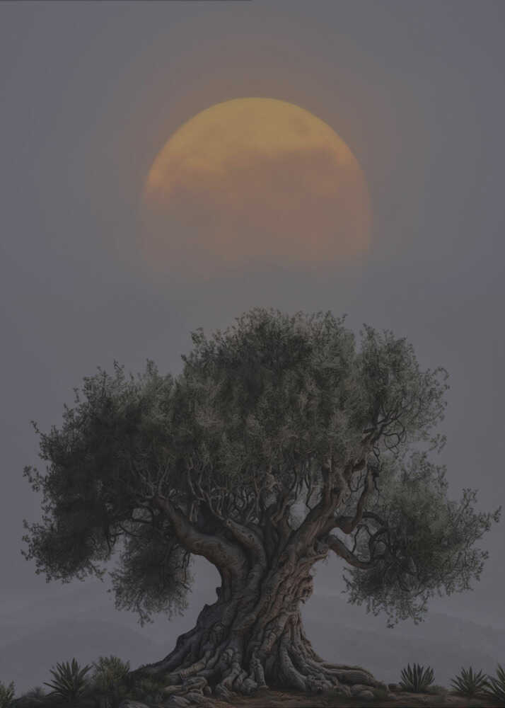 Gnarled tree sun poster with a large gnarled tree against a big orange sun
