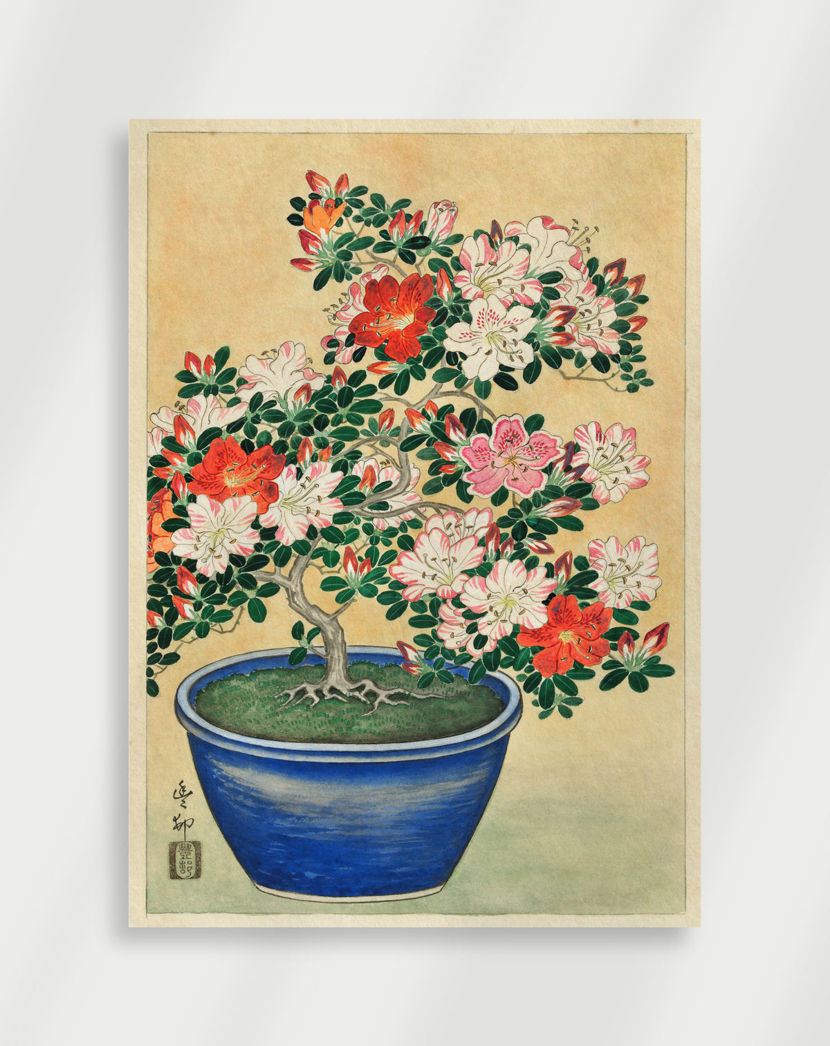 Japandi bonsai poster with a flowering bonsai tree in a blue pot