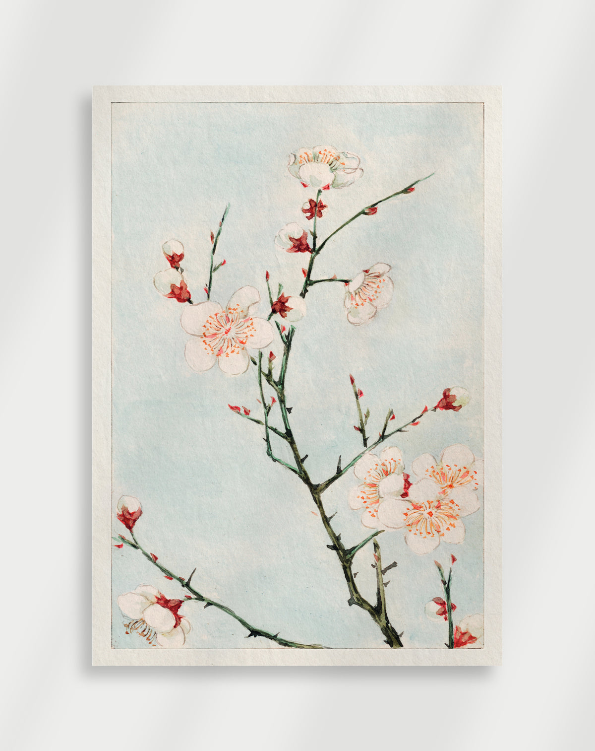 Japandi white blossoms poster with white flowers on branches against pale blue