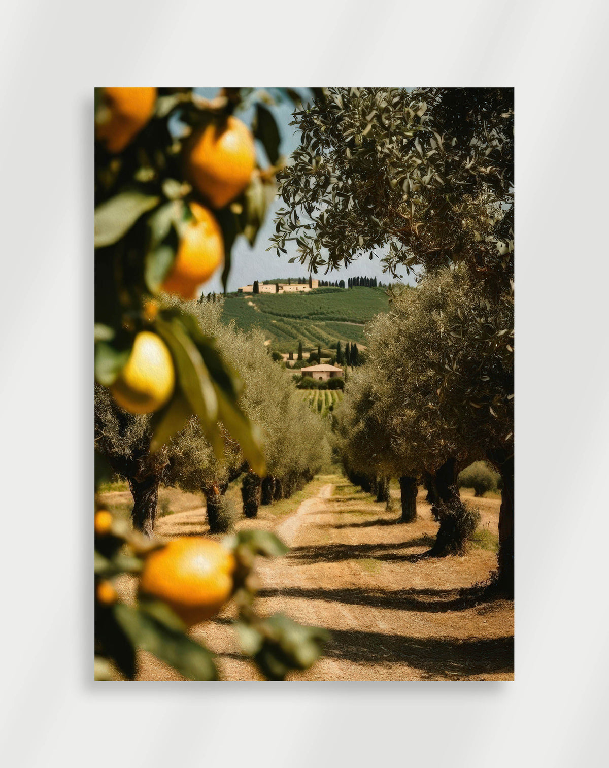 Lemon orchard olive trees poster with lemons in the foreground and rows of olive trees leading to a distant villa