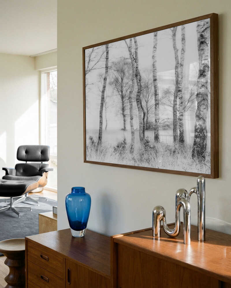 Black and white Birch forest Poster