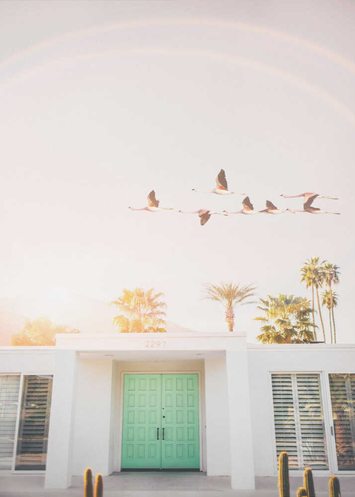 Mint door flamingos poster with a mid-century house with a mint green door palm trees and flamingos