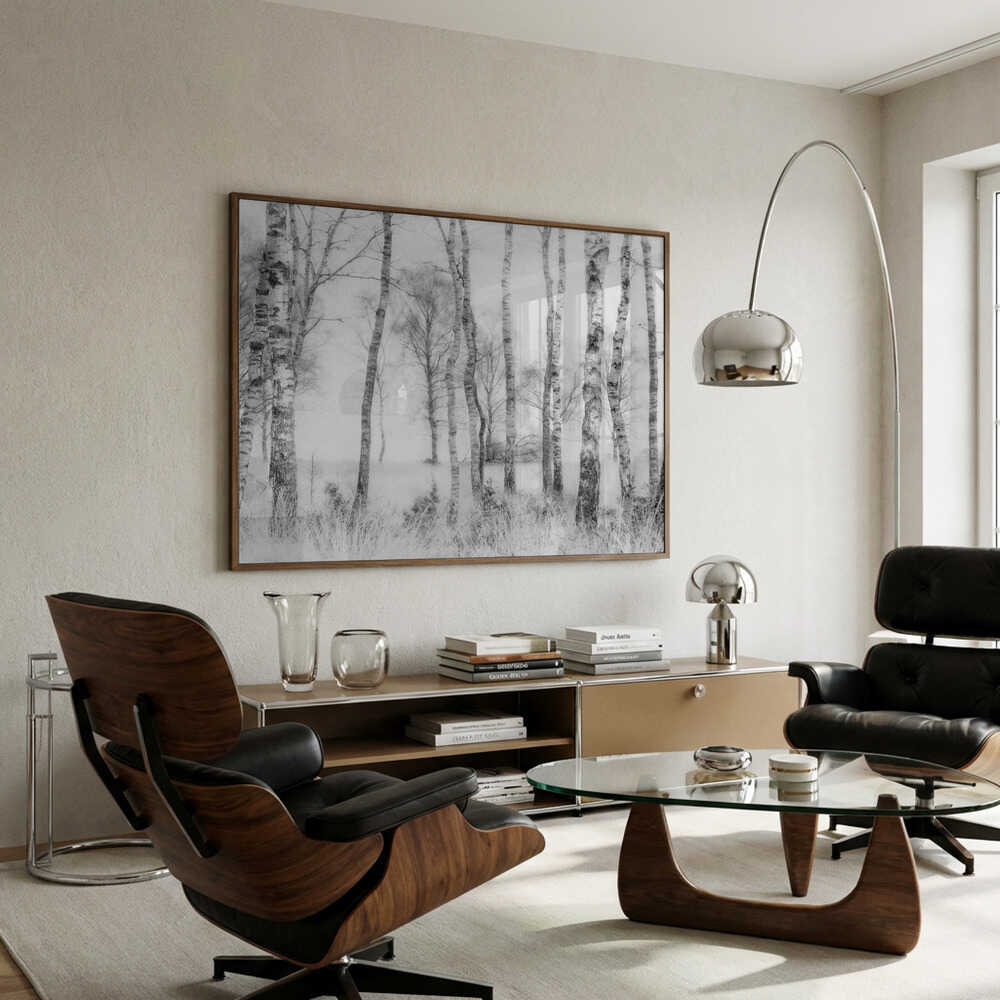 Black and white Birch forest Poster