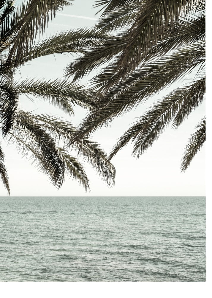 Palm fronds sea poster with palm fronds hanging over a calm sea