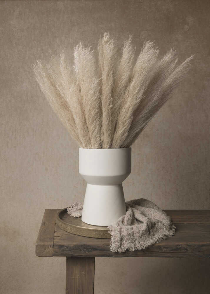 Pampas grass vase poster with a white ceramic vase of tall beige pampas grass on a wooden table