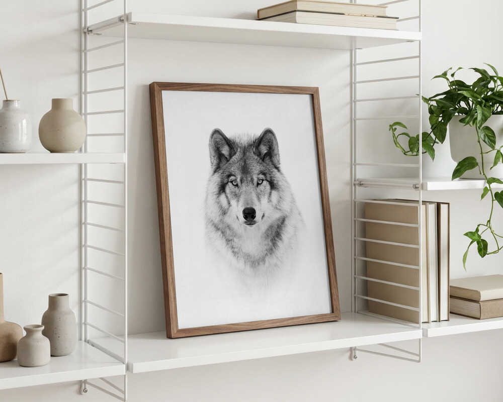 Portrait of a Timber Wolf Poster