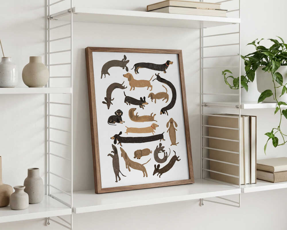 Dachshund Print Poster