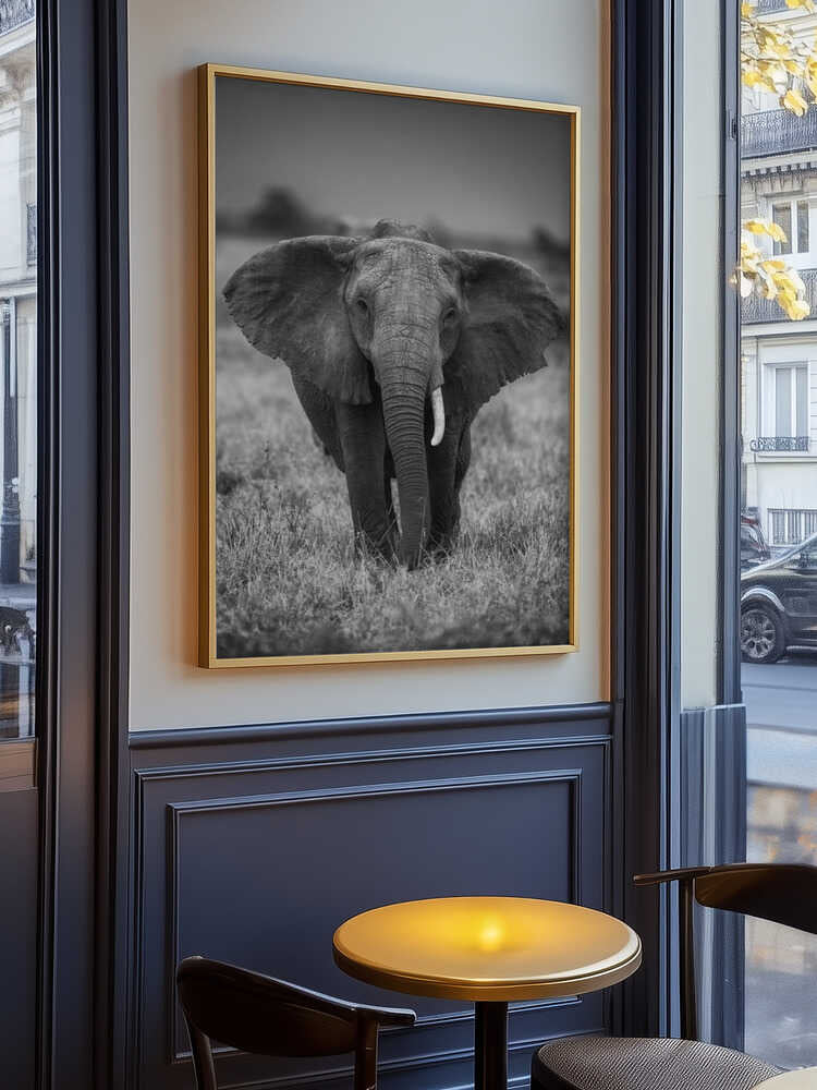 Elephant portrait Poster