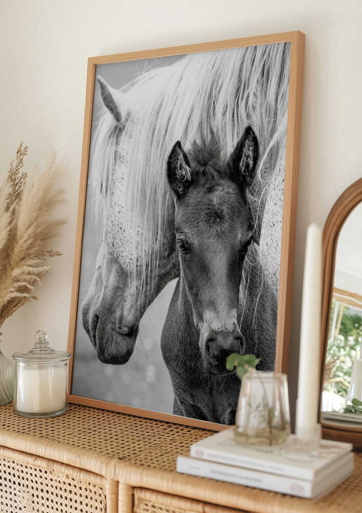 Mare and Foal Poster
