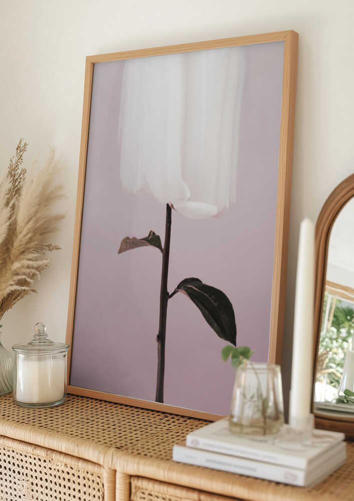 Poster „Ätherische weiße Blüte“