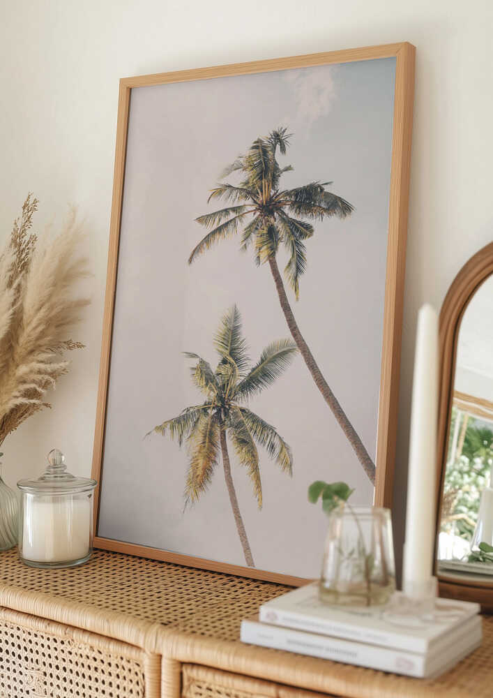 Tropical Palms Poster