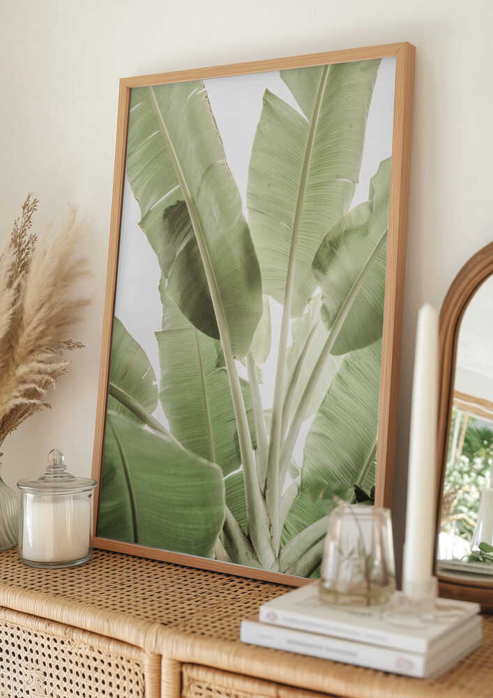 Verdant Leafscape Poster