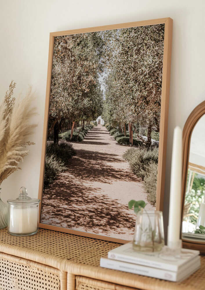 A Serene Tree Lined Path with Sunlight Poster