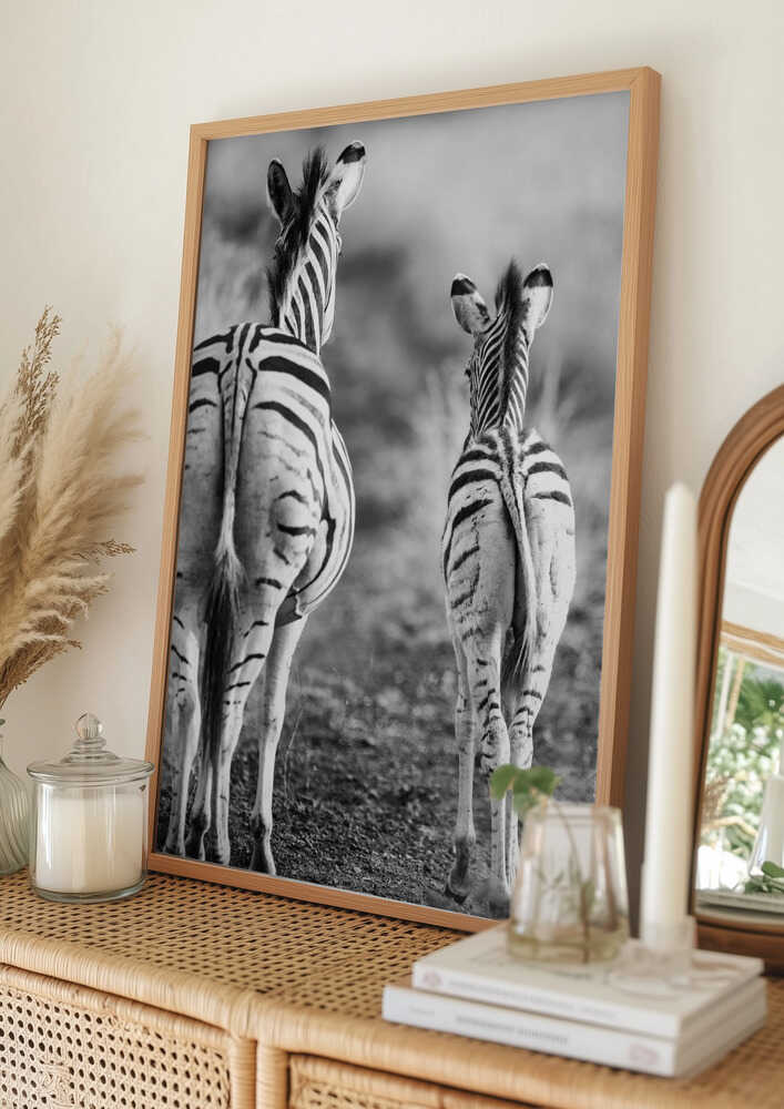Striped Horse Back Side Poster
