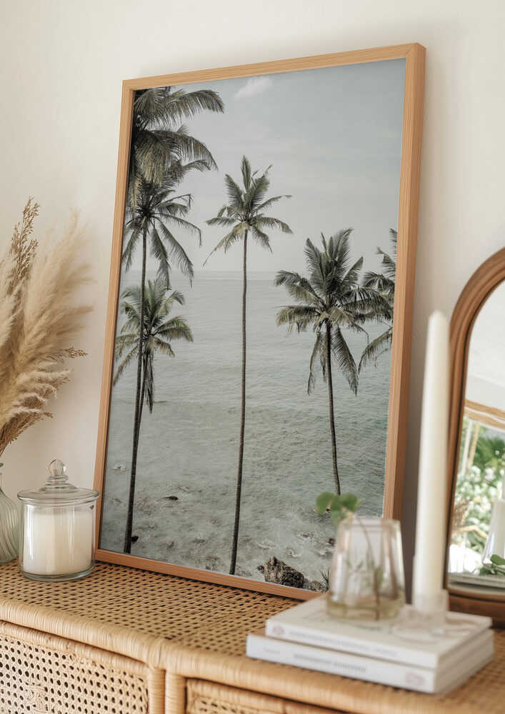 Tropical Dreams Poster