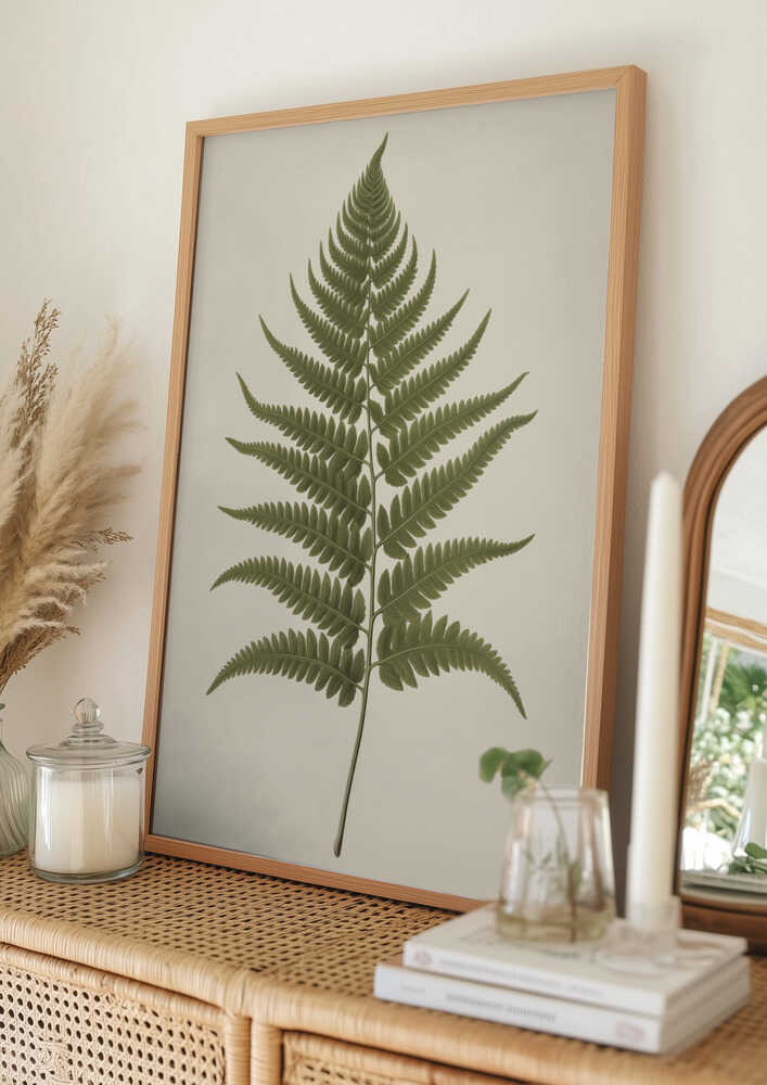 Elegant Fern Botanical Poster