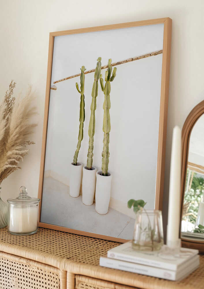 Cacti On White Poster