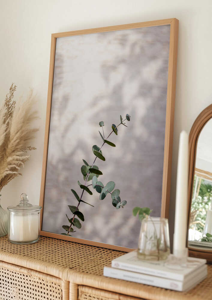Eucalyptus Branch Shadow Poster