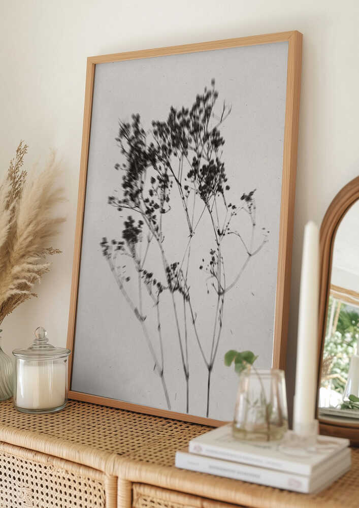 Poster „Zarte Pflanzensilhouette“