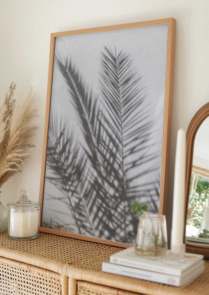 Sunlit Palm Shadows Poster
