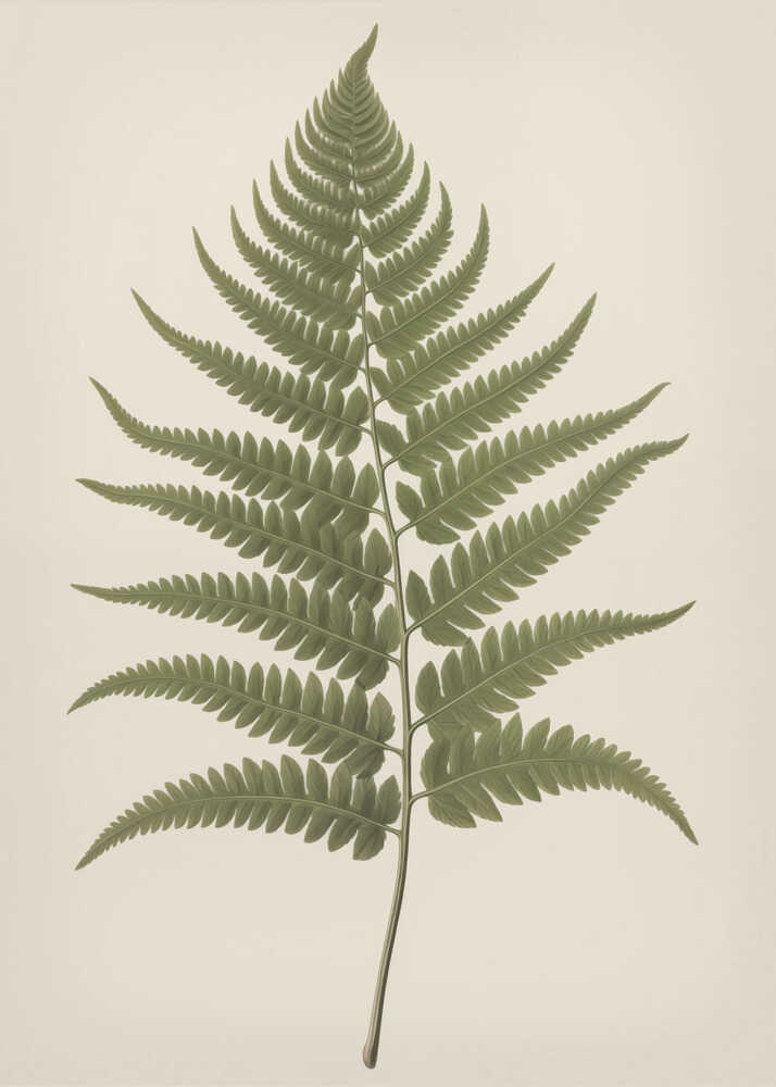 Elegantes botanisches Poster mit Farn