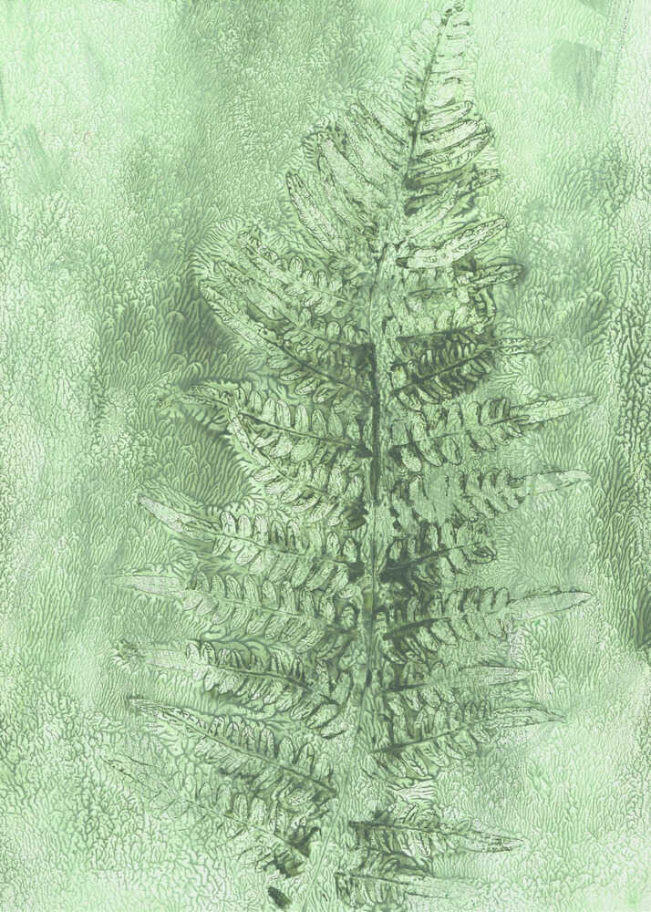 Subtle Fern Frond Poster