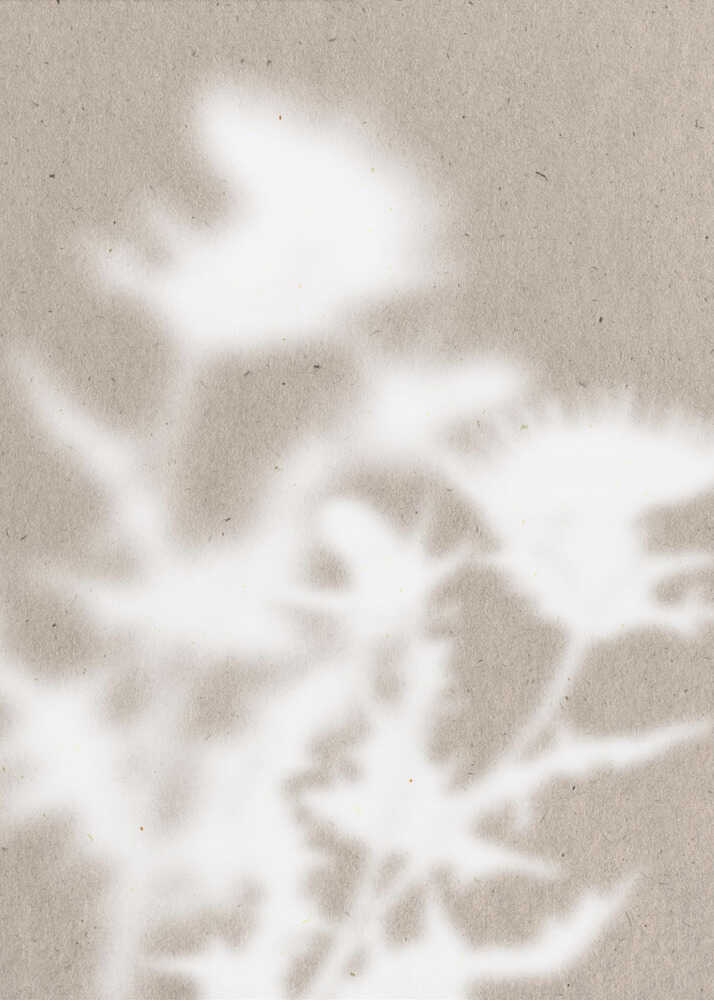 Poster „Sanfte botanische Schatten“