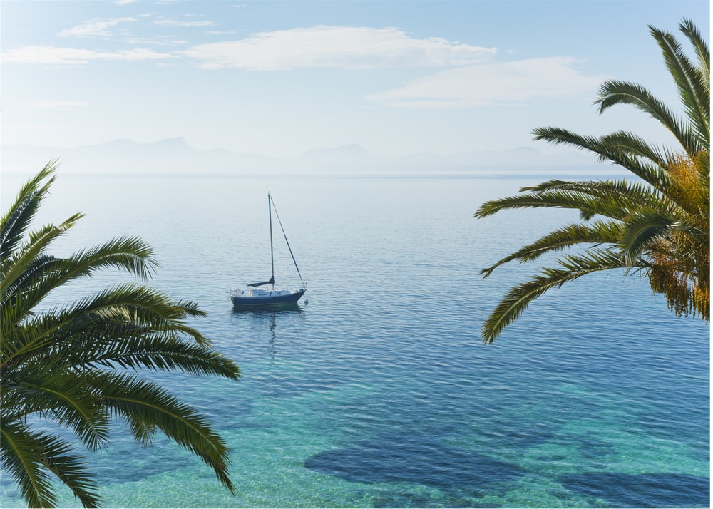 Sailboat palms poster with a sailboat on turquoise water framed by palm trees